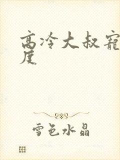 高冷大叔宠妻无度