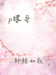 p眼哥