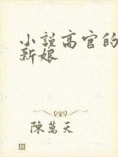 小说高官的暗夜新娘