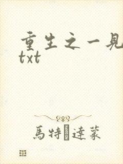 重生之一见倾心txt