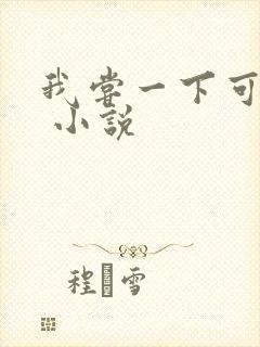 我尝一下可以吗 小说