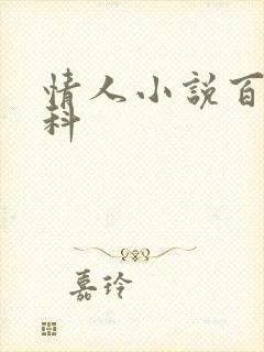 情人小说百度百科