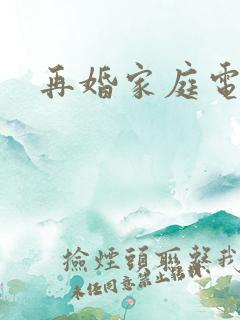 再婚家庭电视剧