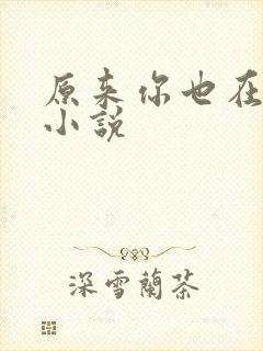 原来你也在这里小说