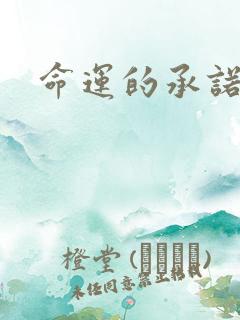 命运的承诺下载