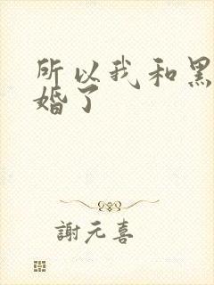 所以我和黑粉结婚了