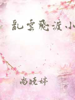 乱云飞渡小说