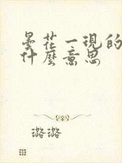 昙花一现的现是什么意思