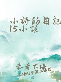 小诗的日记1一15小说