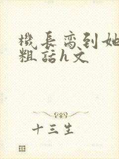 机长脔到她哭h粗话h文