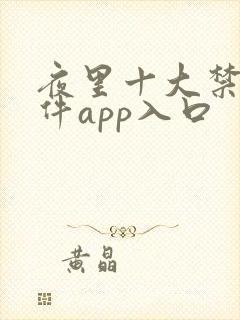 夜里十大禁用软件app入口