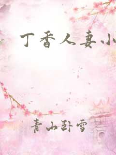 丁香人妻小说