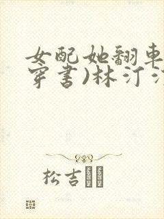 女配她翻车了(穿书)林汀汀