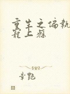 重生之偏执老公宠上瘾