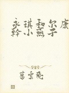 永琪和尔康一起干小燕子