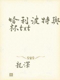 哈利波特与火焰杯txt