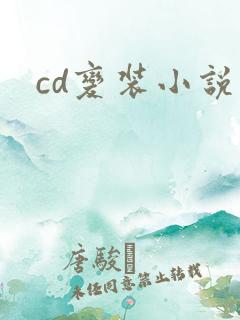 cd变装小说