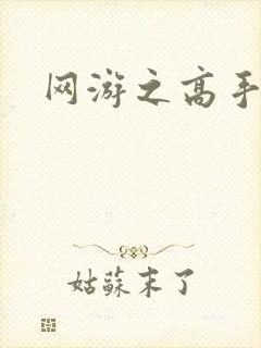 网游之高手寂寞