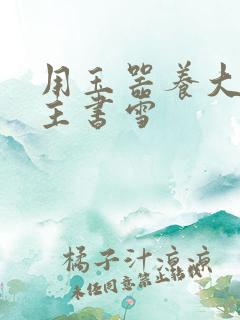 用玉器养大的公主书雪