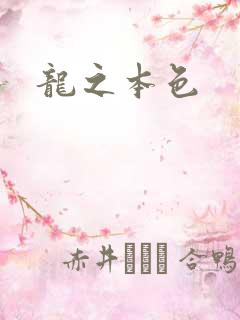 龙之本色