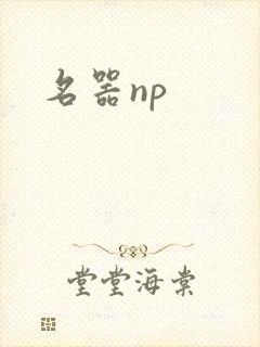 名器np