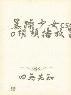 暴躁少女csgo视频播放器推荐