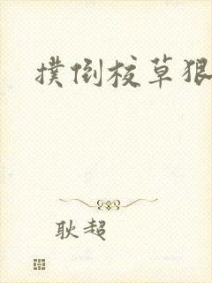 扑倒校草狠狠亲