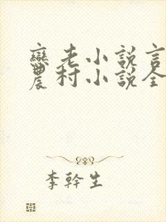 恋老小说言情网农村小说全文阅读