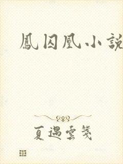 凤囚凰小说