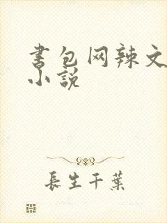 书包网辣文全本小说