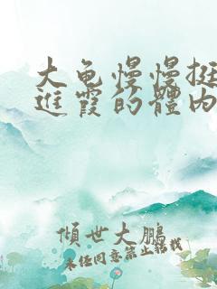 大龟慢慢挺进王进霞的体内