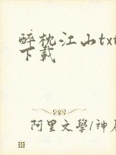 醉枕江山txt下载