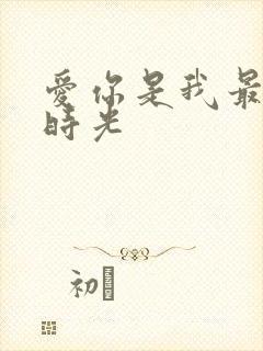 爱你是我最好的时光