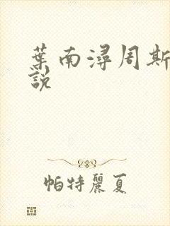 叶南浔周斯年小说