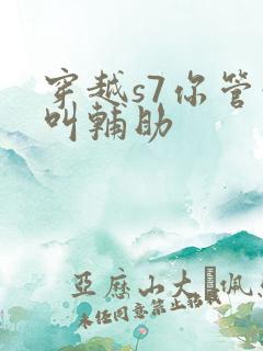 穿越s7你管这叫辅助