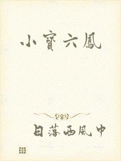 小宝六凤
