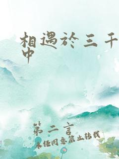 相遇于三千肉文中