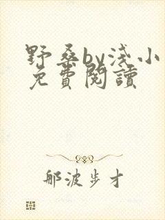 野桑by浅小说免费阅读