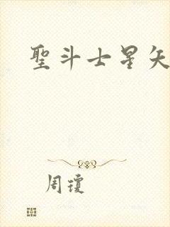 圣斗士星矢小说