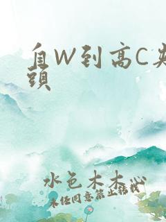 自W到高C夹枕头