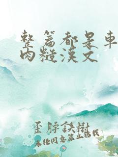 整篇都是车的多肉糙汉文