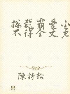 总裁霸爱小妻惹不得全文免费阅读笔趣阁