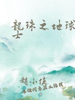 龙珠之地球人战士