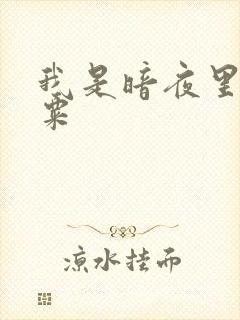 我是暗夜里的罂粟