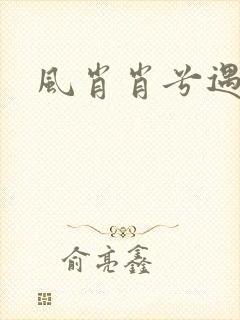 风肖肖兮遇子期