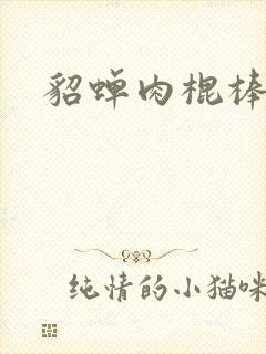 貂蝉肉棍棒小说