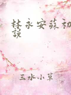 林永安苏初雪小说