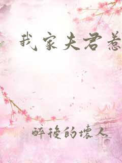 我家夫君惹不起