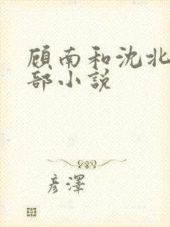 顾南和沈北是哪部小说