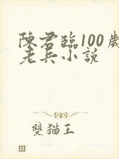 陈君临100岁老兵小说
